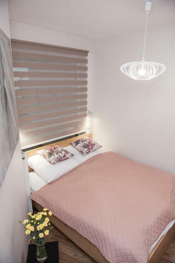 Apartament Smolna - Zawady بوزنان المظهر الخارجي الصورة
